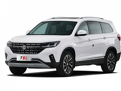DongFeng T5L
